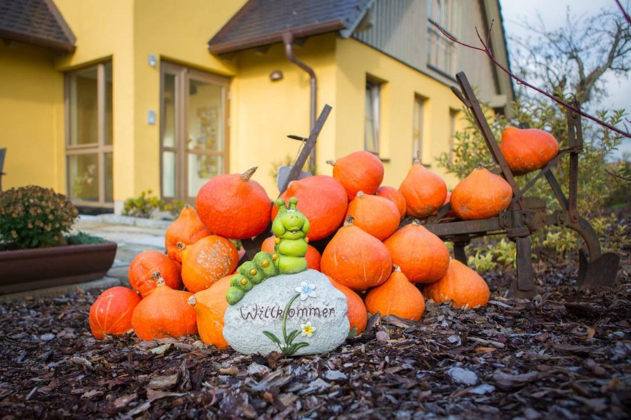 Pension Raupennest Bautzen Bagian luar foto